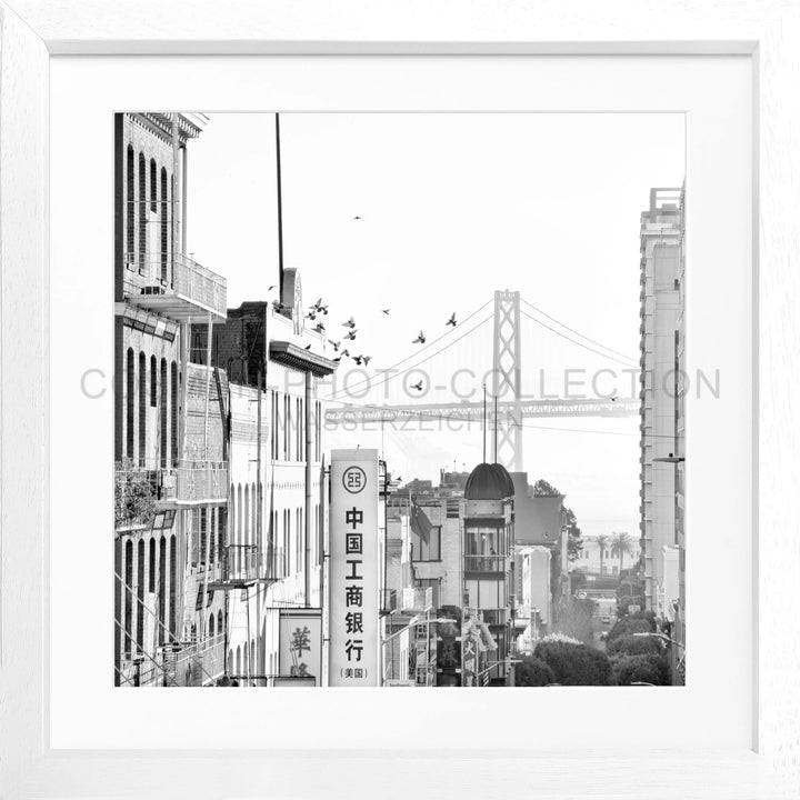 Poster ’Bay Bridge’ San Francisco SF06Q - Weiss 3cm