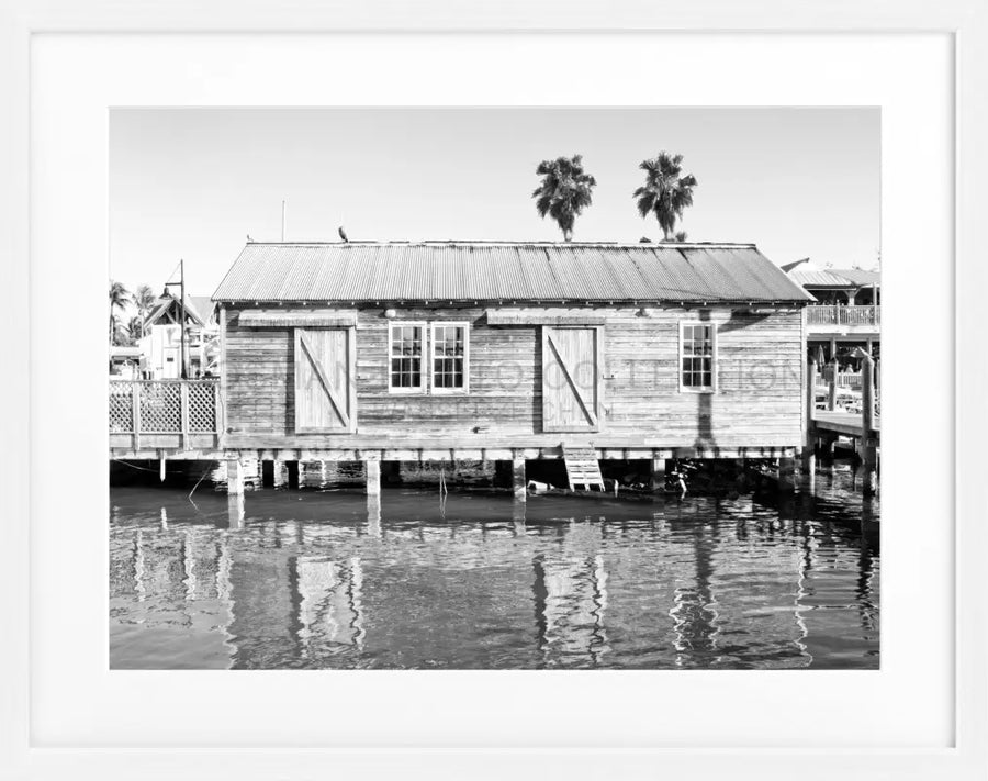 Poster Florida Key West FL02 - Weiss 1.5cm / S (31cm x