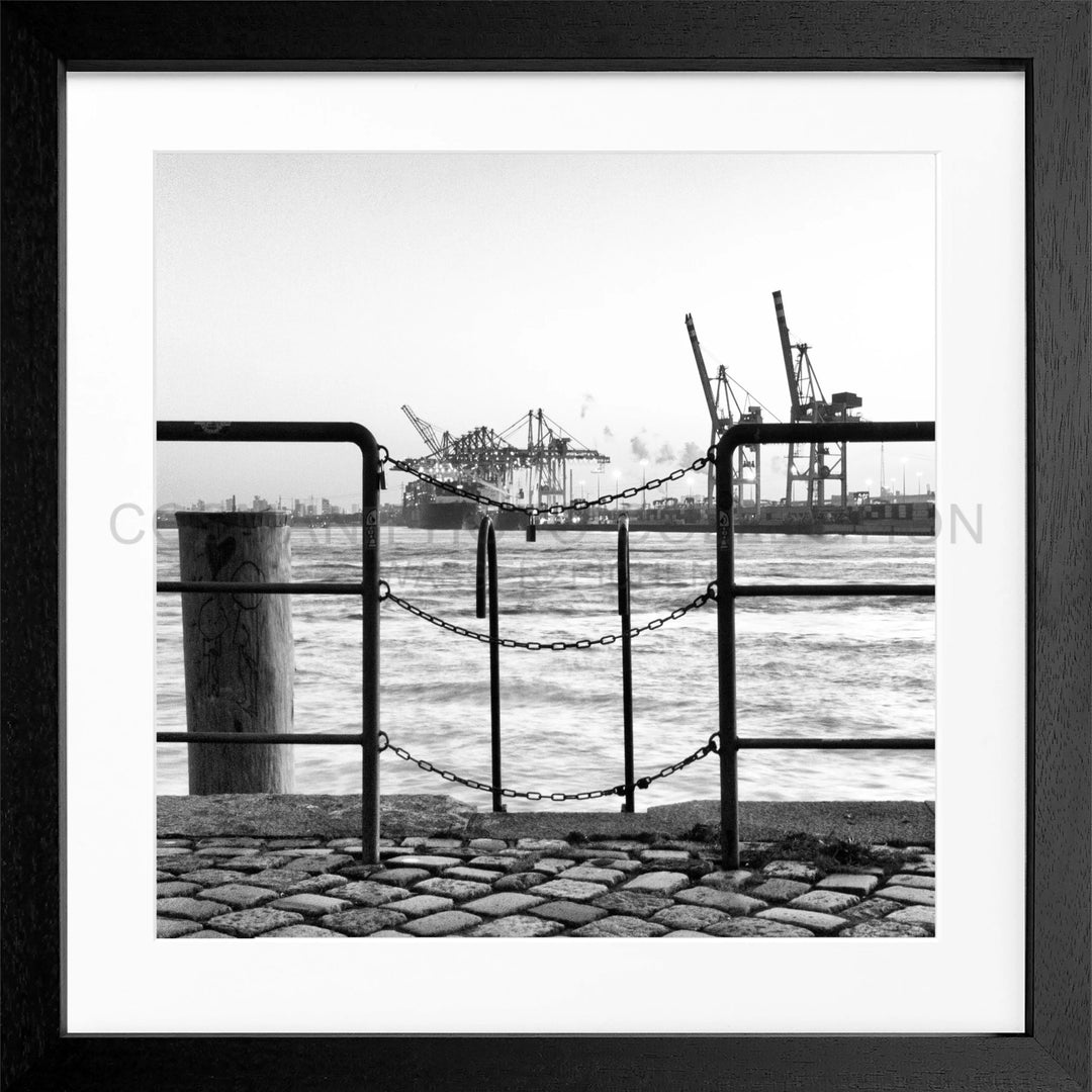 Cosman-Interior Rahmenfarbe: schwarz matt / Grösse: Quadrat 55 (55x55cm) / Motiv: schwarz/weiss Poster Hamburg Hafen "Zaun" HH30