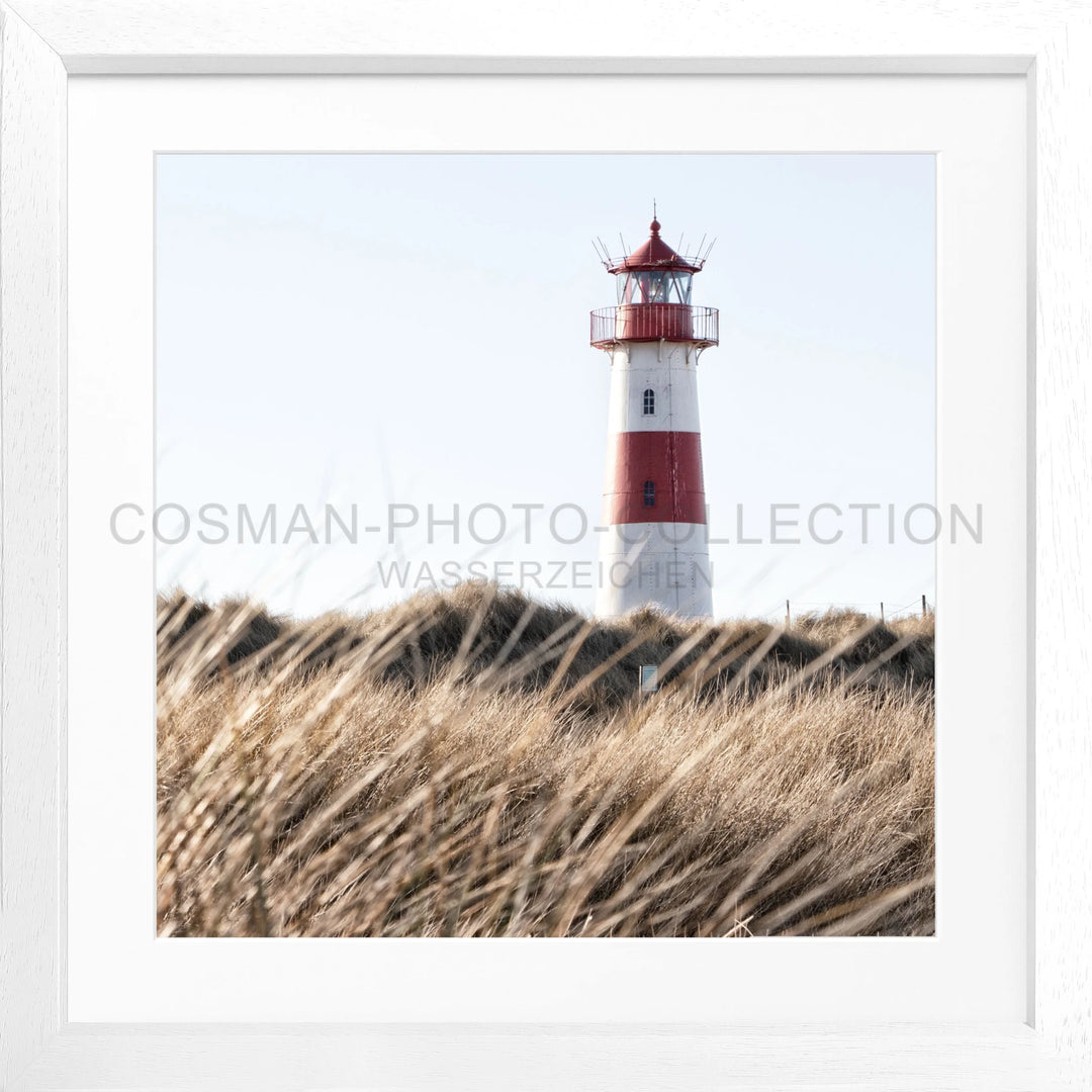 Cosman-Interior Motiv: farbe / Grösse: Quadrat 55 (55x55cm) / Rahmenfarbe: weiss matt Poster Sylt SY71Q