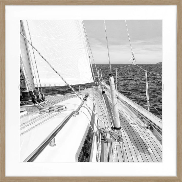 Poster Segelboot SAIL01Q - Eiche Furnier 1.5cm / Quadrat 55