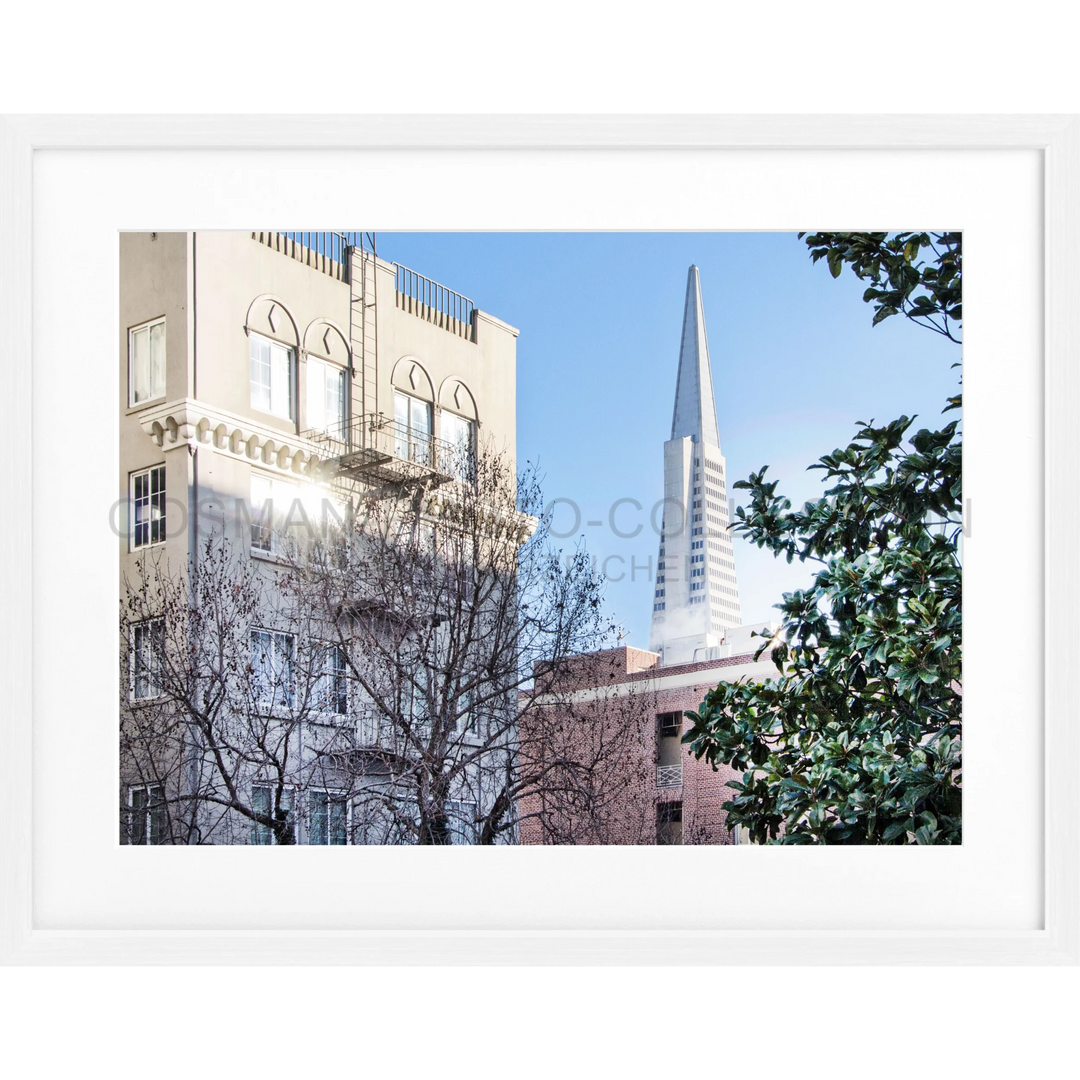 Poster San Francisco SF01 - Weiss 1.5cm / Motiv: farbe / S