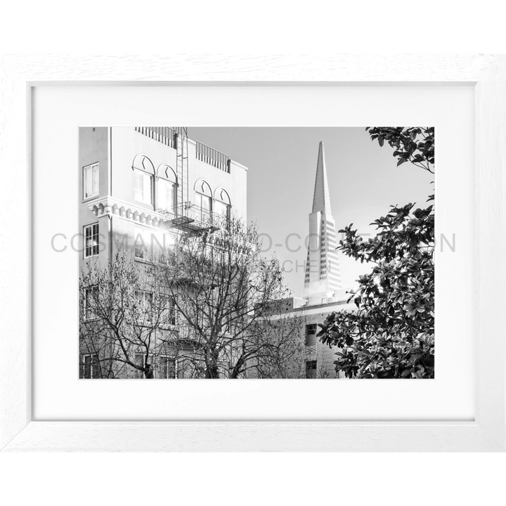 Poster San Francisco SF01 - Weiss 3cm / Motiv: