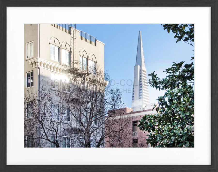 Poster San Francisco SF01 - Schwarz matt 1.5cm / Motiv: